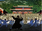 Chinese Kung Fu Shows