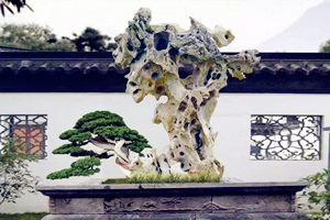 Piedra de Taihu del Palacio de Verano
