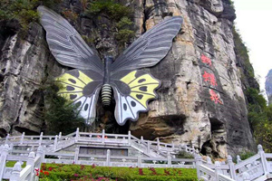 9 días Viajes a Yunnan Fuente de Mariposas