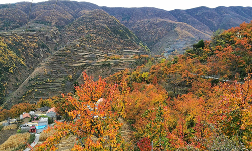 11 días Viajes de Minorías Étnicas Valle Shuangqiao