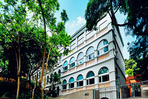 Centro de Artes Visuales de Hong Kong