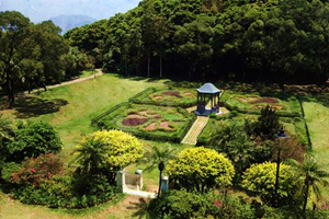 Jardín del Pico Victoria