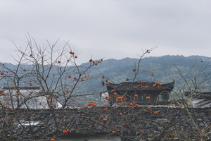 otoño de la Aldea Hongcun