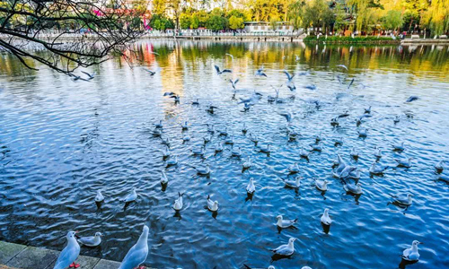 12 días Viajes de Minorías Étnicas Chinas Parque del Lago Verde