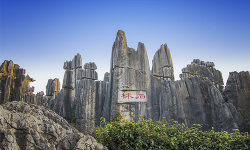 13 días Viajes a Yunnan Bosque de Piedra