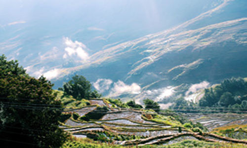 5 días Viajes a Yunnan Terrazas de Arroz de Duoyishu
