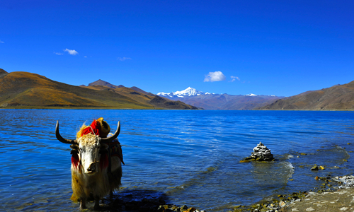 5 días Viajes al Tíbet Lago Yamdrok