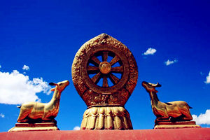 punto maravillo en el Templo de Jokhang