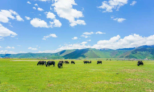 4 días Viajes a Yunnan Parque Nacional de Pudacuo