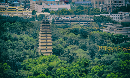Gran Pagoda del Ganso Salvaje