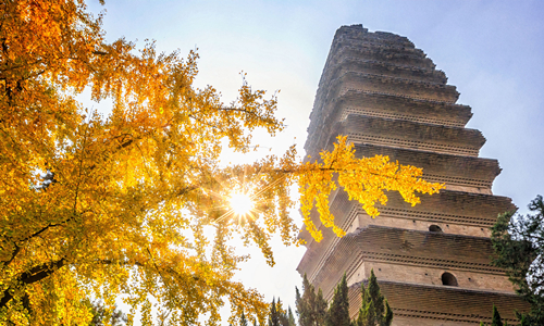 12 días Viajes a China con Niños Pequeña Pagoda del Ganso Salvaje