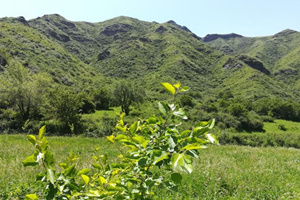 Valle de la Mariposa