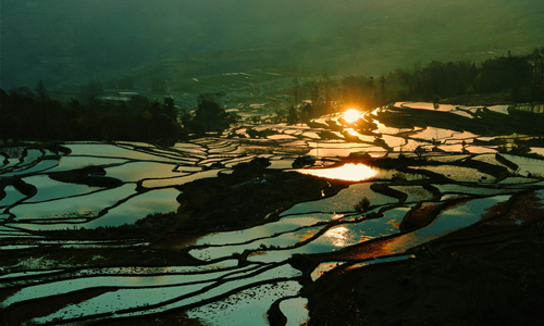12 días Viajes a Yunnan Terrazas de Arroz de Duoyishu