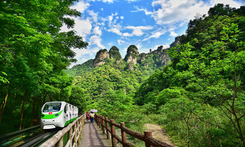 12 días Viajes a China Todo Incluido Parque Forestal Nacional de Montaña Tianmen