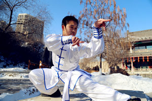  Kung Fu de la Mantis Religiosa del Norte de Prunus mume