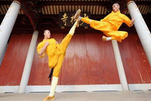 Shaolin del Kung Fu Chino