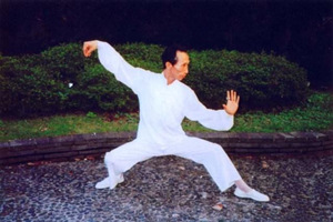 Yan Feixia-representante de Kong Tong del Kung Fu Chino