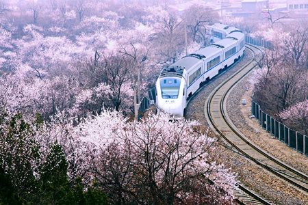 Viaje a China en Tren de Alta Velocidad
