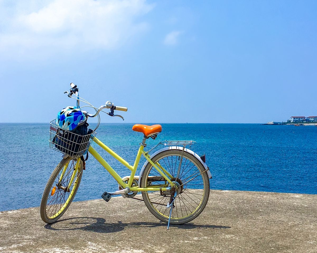 1-Día Viaje a China en Bicicleta en Shanghái